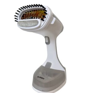 بخارگر دستی راین Ra-5800